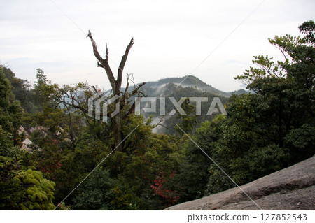 Hiroshima Miyajima Momijidani Park Mt. Misen Hiroshima Miyajima Momijidani Park Mt. Misen 127852543