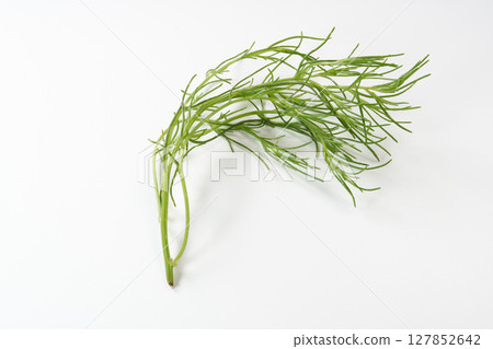 Okahijiki image Okahijiki image 127852642