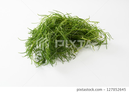 岡崎圖像 127852645