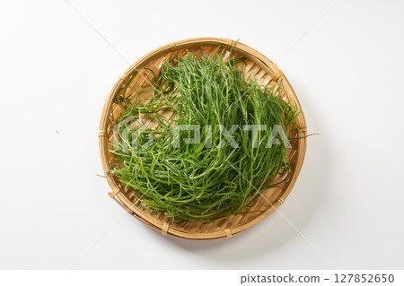 Okahijiki image 127852650