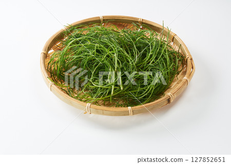 Okahijiki image 127852651