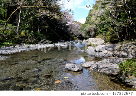 東京都內隱密的小峽谷：入間川、吾妻峽 127852677