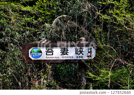 東京都內隱密的小峽谷:入間川、吾妻峽 東京都內隱密的小峽谷:入間川、吾妻峽 127852680