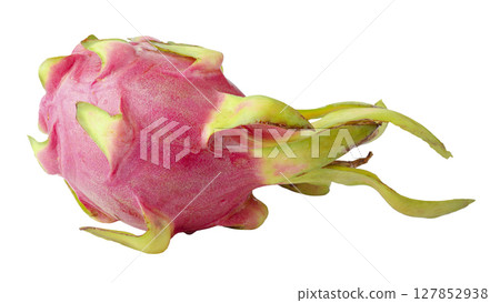 Fresh red dragon fruit whole isolated on a white background 127852938