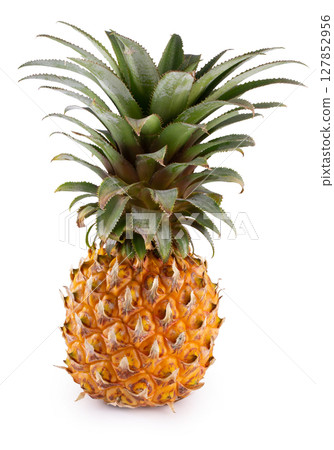 Whole Pineapple Fruits with Spiky Green Crowns and Golden Skin isolated on a white background 127852956