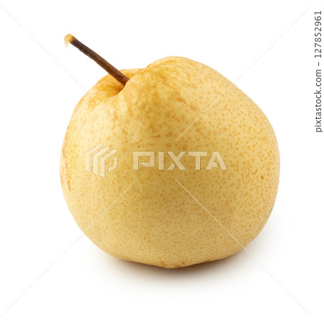 Crisp and Juicy Chinese Pear with Pale Yellow Skin isolated on a white background Crisp and Juicy Chinese Pear with Pale Yellow Skin isolated on a white background 127852961