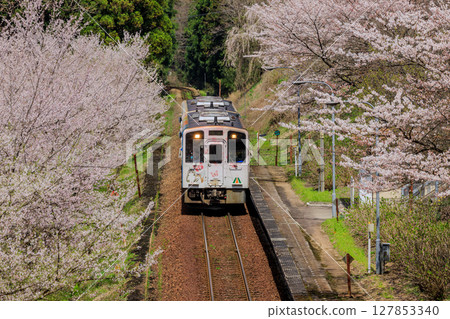 Spring at Aizu Railway Okawa Dam Park Station 127853340