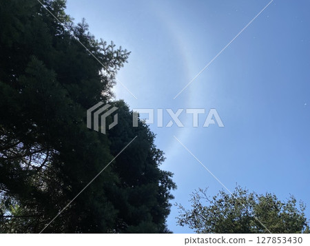 在森林的彩虹 在森林的彩虹 127853430