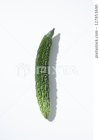 戈雅 127853690