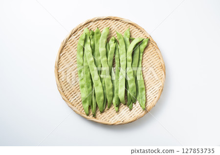 摩洛哥四季豆 127853735