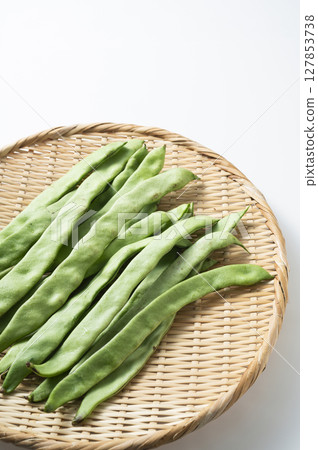 Morocco Morocco 127853738