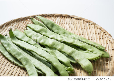 摩洛哥四季豆 127853739