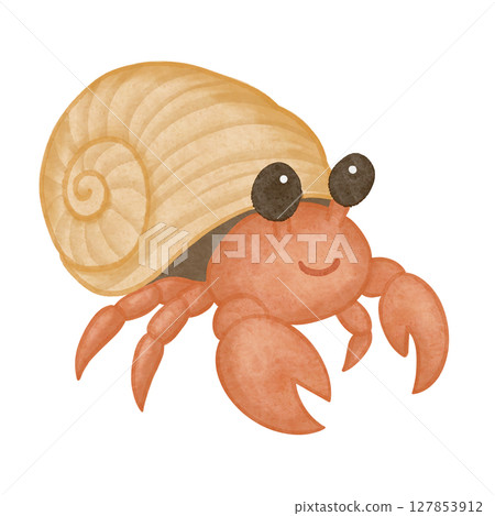 Hermit crab watercolor Hermit crab watercolor 127853912