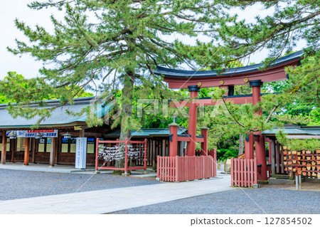 Early summer at Kehi Shrine in Tsuruga City, Fukui Prefecture 127854502