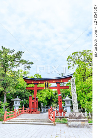 福井縣敦賀市氣比神社的初夏 127854507