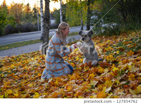 Smiling woman in coat with her mixed-breed dog enjoying autumn leaves in a park Smiling woman in coat with her mixed-breed dog enjoying autumn leaves in a park 127854762