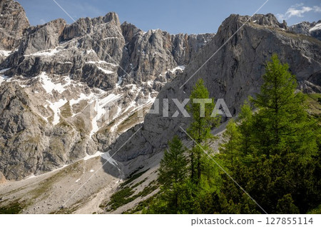 Steep rocky peaks of the Dachstein mountains with patches of snow and green alpine trees in summer 127855114