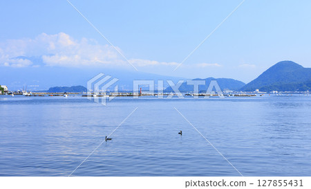 西伊豆的夏天 西伊豆的夏天 127855431