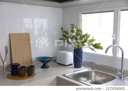 Modern kitchen with pantry cupboards and counter top including a tap and sink 127856002