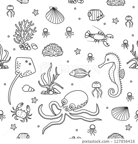 Pattern Underwater Seabed Ocean Sea Marine habitat Pattern Underwater Seabed Ocean Sea Marine habitat 127856418