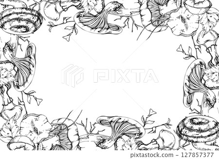 Bolete cep russula suillus mushroom fungi with leaves twigs pine needles. vector ink hand drawn border frame. Autumn forest harvest, vegan cooking edible raw ingredient. Menu scrapbooking stationery 127857377