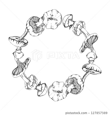 Bolete cep russula suillus mushroom fungi. Wreath frame hand drawn in vector ink. Autumn forest harvest, edible raw ingredient for vegan cooking. Label, tag design, menu recipe, scavenger hunt cards Bolete cep russula suillus mushroom fungi. Wreath frame hand drawn in vector ink. Autumn forest harvest, edible raw ingredient for vegan cooking. Label, tag design, menu recipe, scavenger hunt cards 127857389