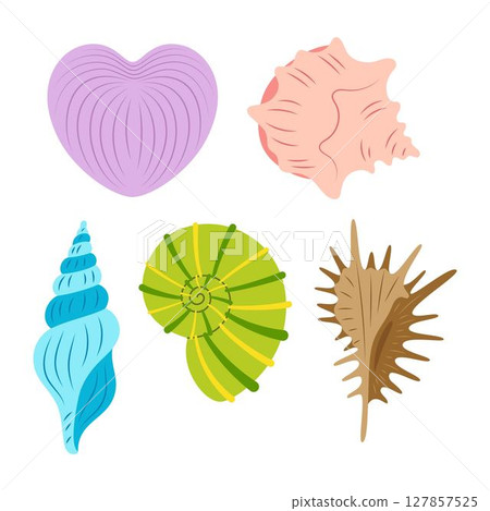 cartoon seashell set isolated 127857525