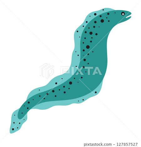 cartoon moray eel isolated cartoon moray eel isolated 127857527