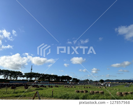 赤川煙花節 127857568