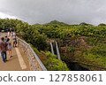 Wailua Falls, Kauai 127858061