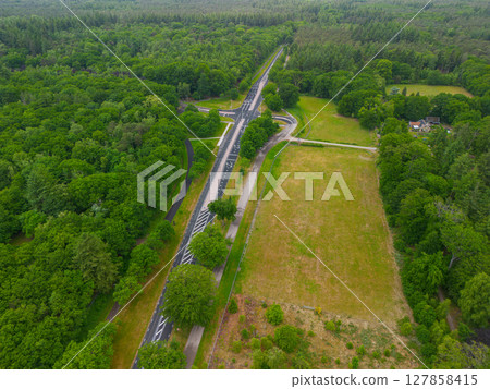 A drone view of a road cutting through dense green forest, with open grassy fields on one side and residential houses tucked among the trees, capturing a peaceful blend of nature and infrastructure. 127858415