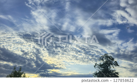 Dark blue sky with clouds over trees and water surface. Evening sunset. Dark blue sky with clouds over trees and water surface. Evening sunset. 127858622