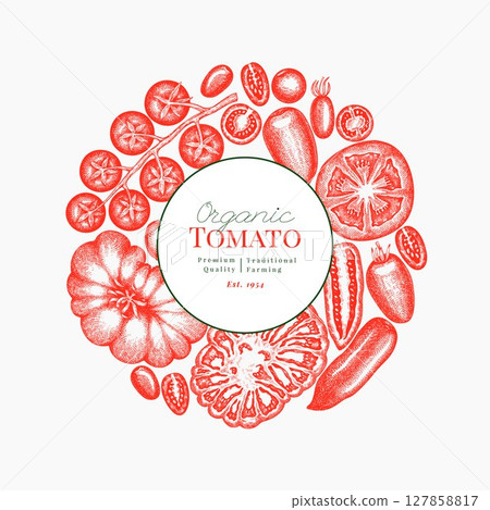 Hand Drawn Tomato Illustration. Retro Vegetable Vector Design Template. Old School Farm Food. 127858817