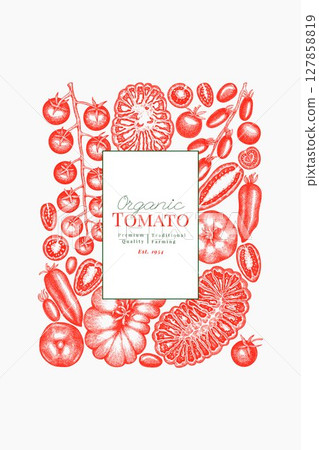 Hand Drawn Tomato Illustration. Retro Vegetable Vector Design Template. Old School Farm Food. 127858819