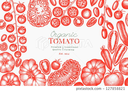 Hand Drawn Tomato Illustration. Retro Vegetable Vector Design Template. Old School Farm Food. 127858821