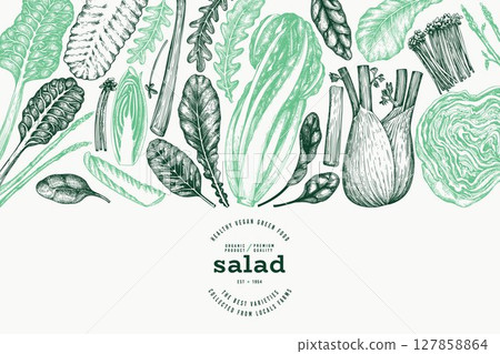 Green Vegetable Design Template. Vector Hand Drawn Healthy Leaf Salad Banner. Vintage Style Menu Illustration. 127858864