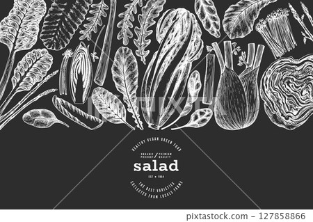 Vegetable Design Template. Vector Hand Drawn Leaf Salad Banner. Vintage Style Menu Illustration On Chalk Board. 127858866