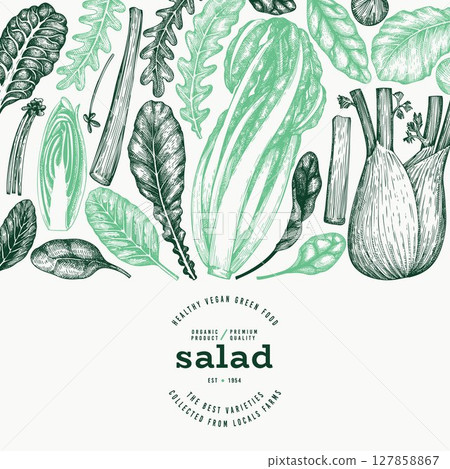 Green Vegetable Design Template. Vector Hand Drawn Healthy Leaf Salad Banner. Vintage Style Menu Illustration. 127858867