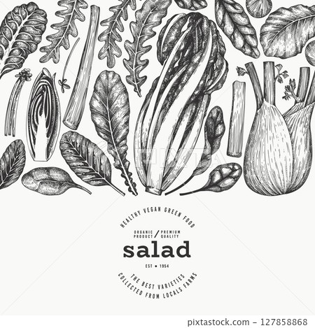 Green Vegetable Design Template. Vector Hand Drawn Healthy Leaf Salad Banner. Vintage Style Menu Illustration. 127858868