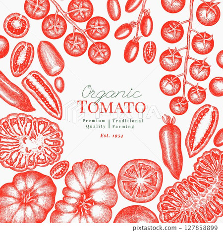 Hand Drawn Tomato Illustration. Retro Vegetable Vector Design Template. Old School Farm Food. 127858899