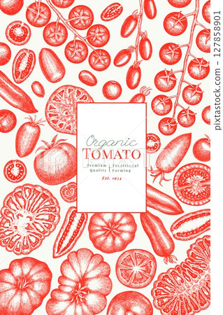 Hand Drawn Tomato Illustration. Retro Vegetable Vector Design Template. Old School Farm Food. 127858901