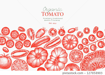 Hand Drawn Tomato Illustration. Retro Vegetable Vector Design Template. Old School Farm Food. 127858903