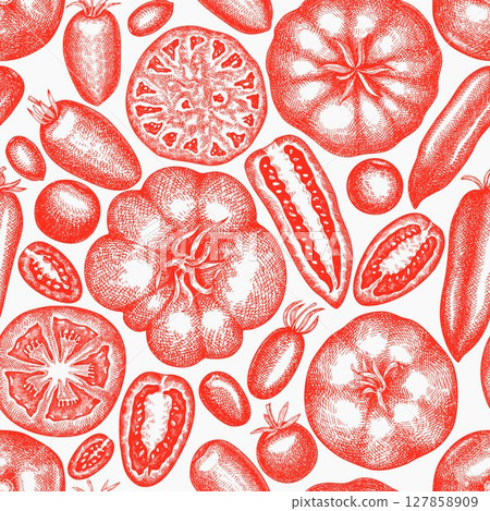 Hand Drawn Tomato Illustration. Retro Vegetable Vector Seamless Pattern. Old School Farm Food. 127858909