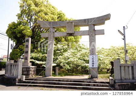 穿過鳥居，進入一片純白的世界 127858964