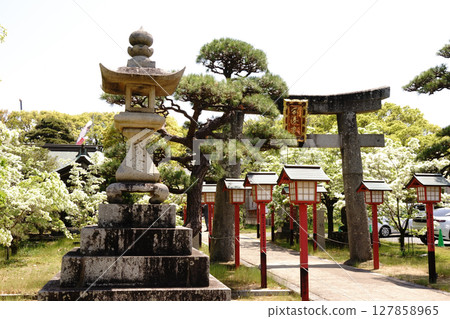 Okaminato Shrine turns pure white with Nanjamonja 127858965