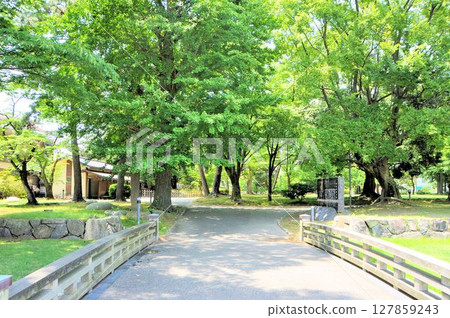 Matto Castle Ruins Park 127859243