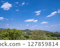 Fresh green and blue sky 127859814