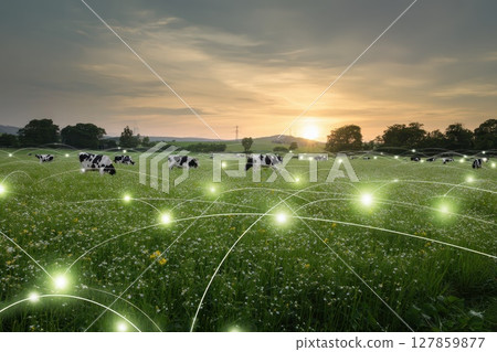 Digital Landscape Blending Natural Farm with Technology and Connectivity in Sunset View 127859877