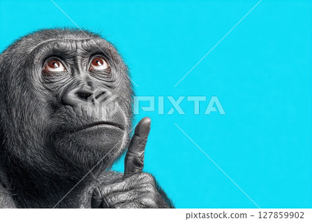 Stunning Digital Portrait of Thoughtful Gorilla Against Bright Blue Background Stunning Digital Portrait of Thoughtful Gorilla Against Bright Blue Background 127859902