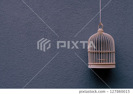 A birdcage is hanging from a rope on a wall A birdcage is hanging from a rope on a wall 127860015